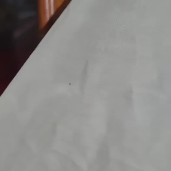 Ewa I Walla - Picture 6 of 14